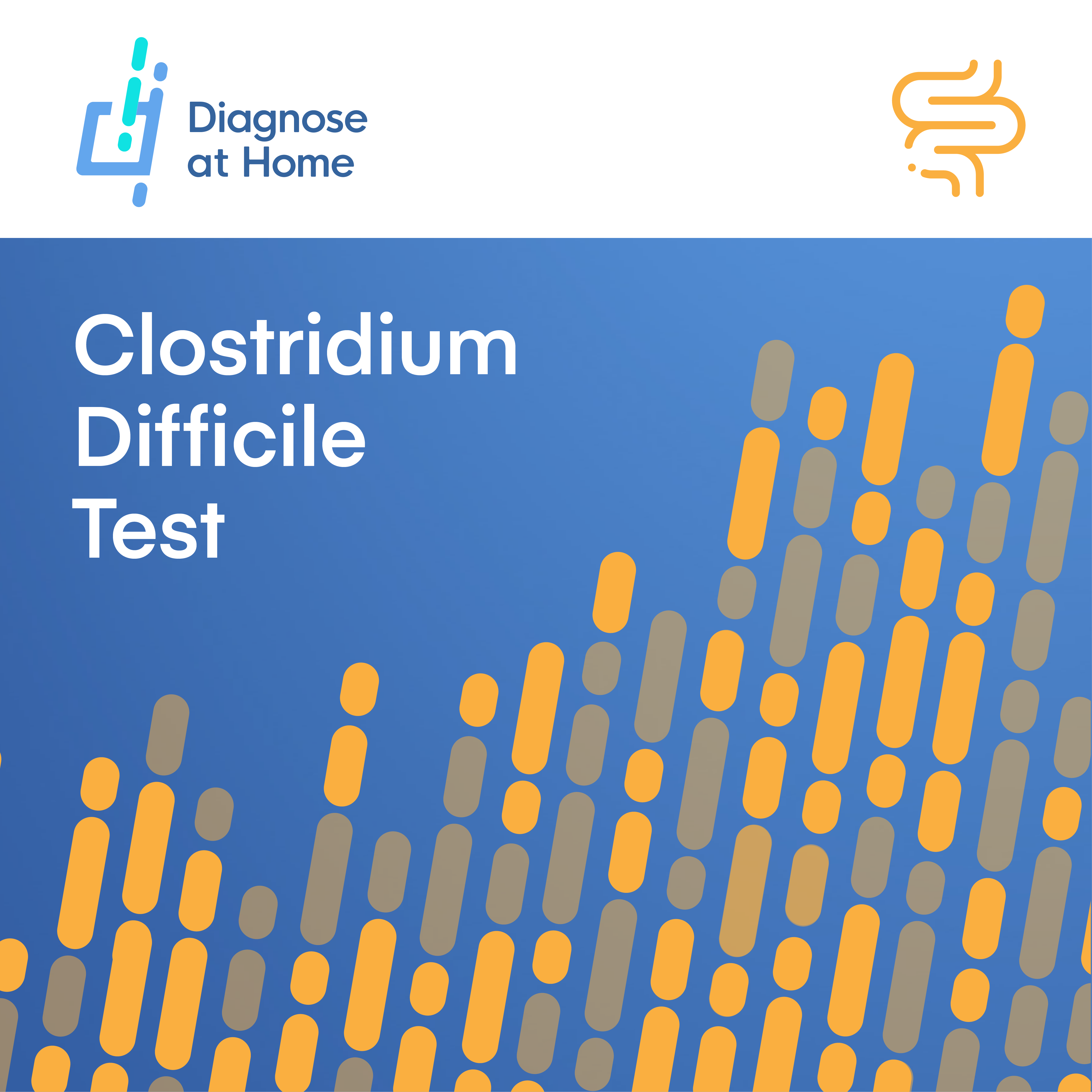 Clostridium Difficile Test Kit cover