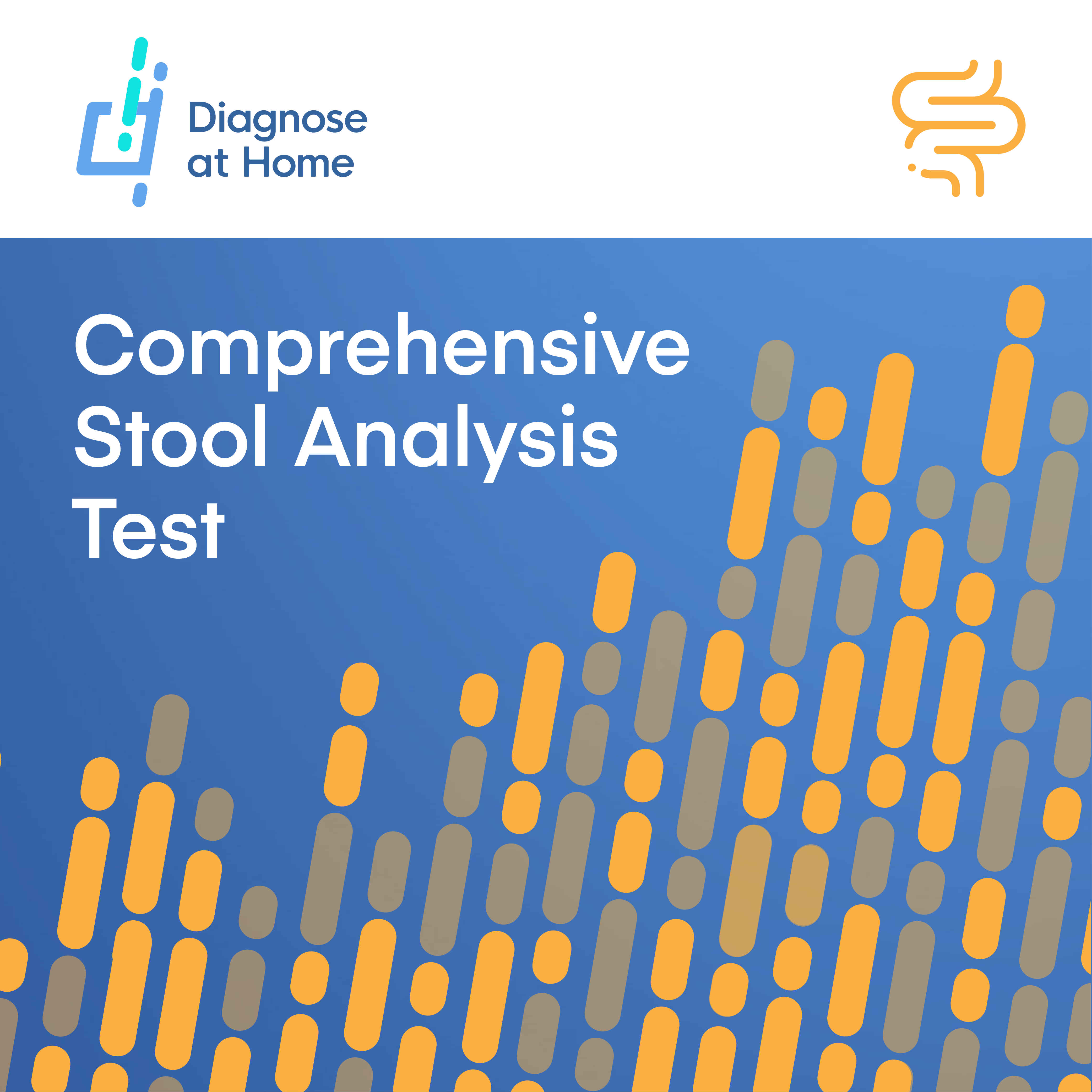Comprehensive Stool Analysis Test Kit cover