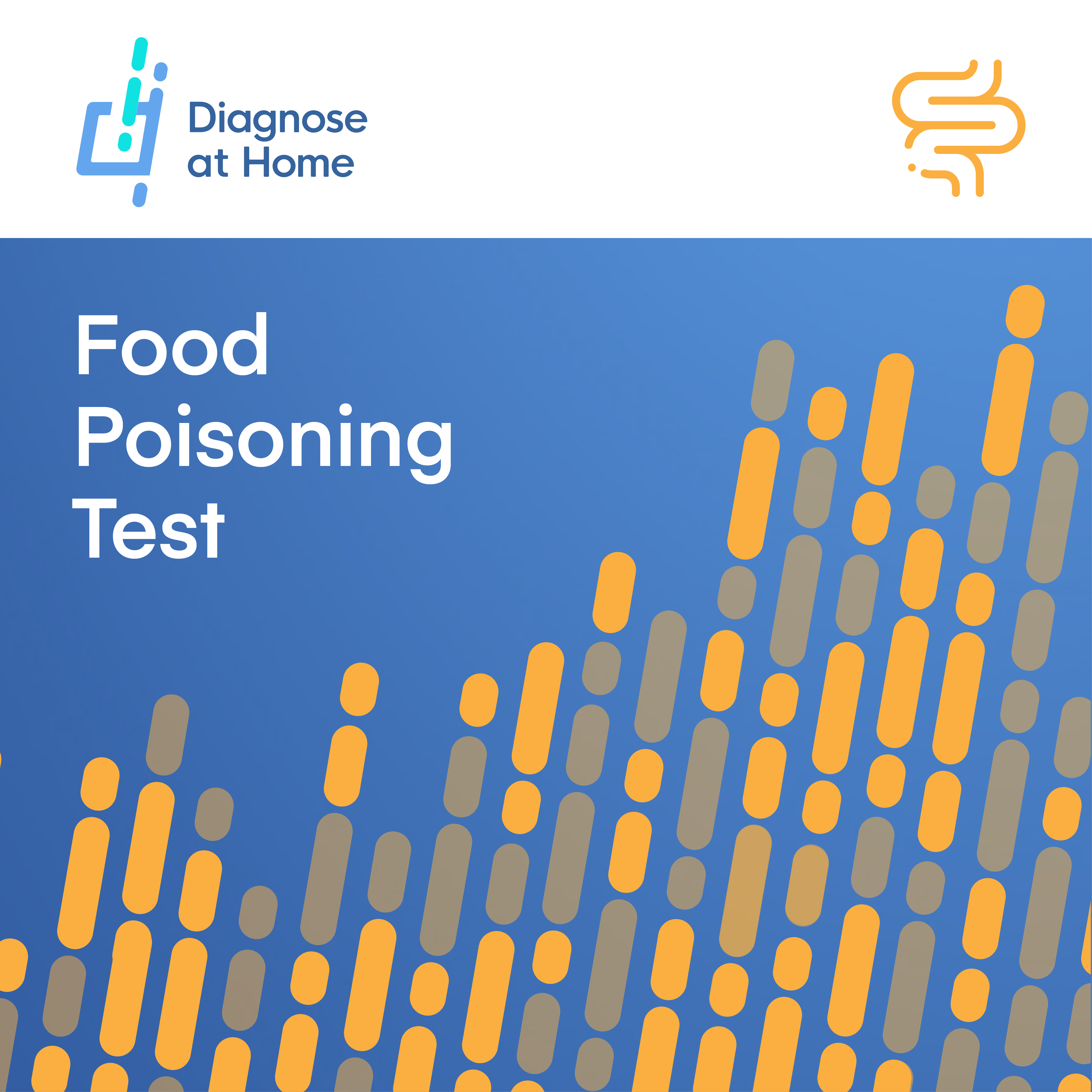Food Poisoning Test Kit cover