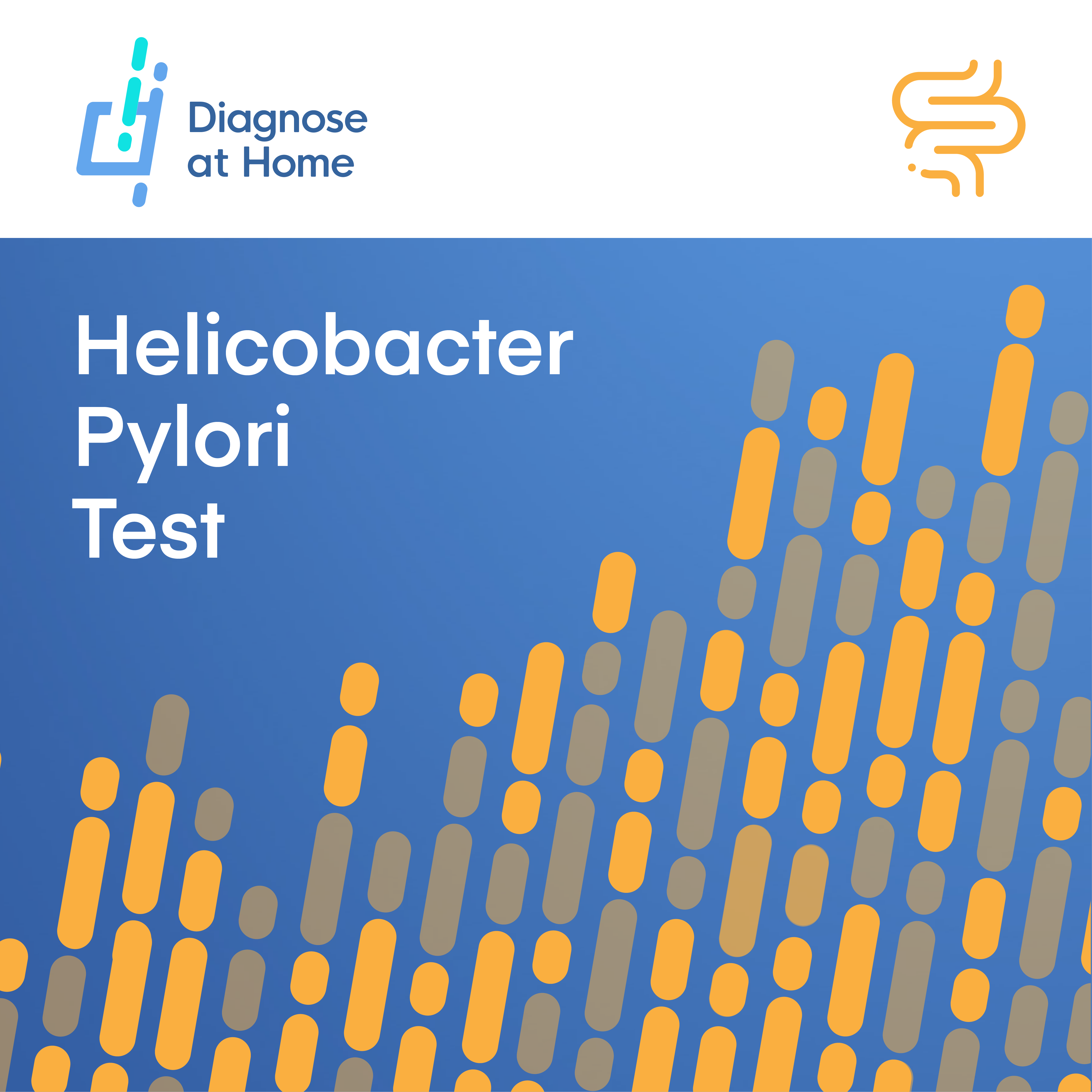 Helicobacter Pylori Test Kit cover