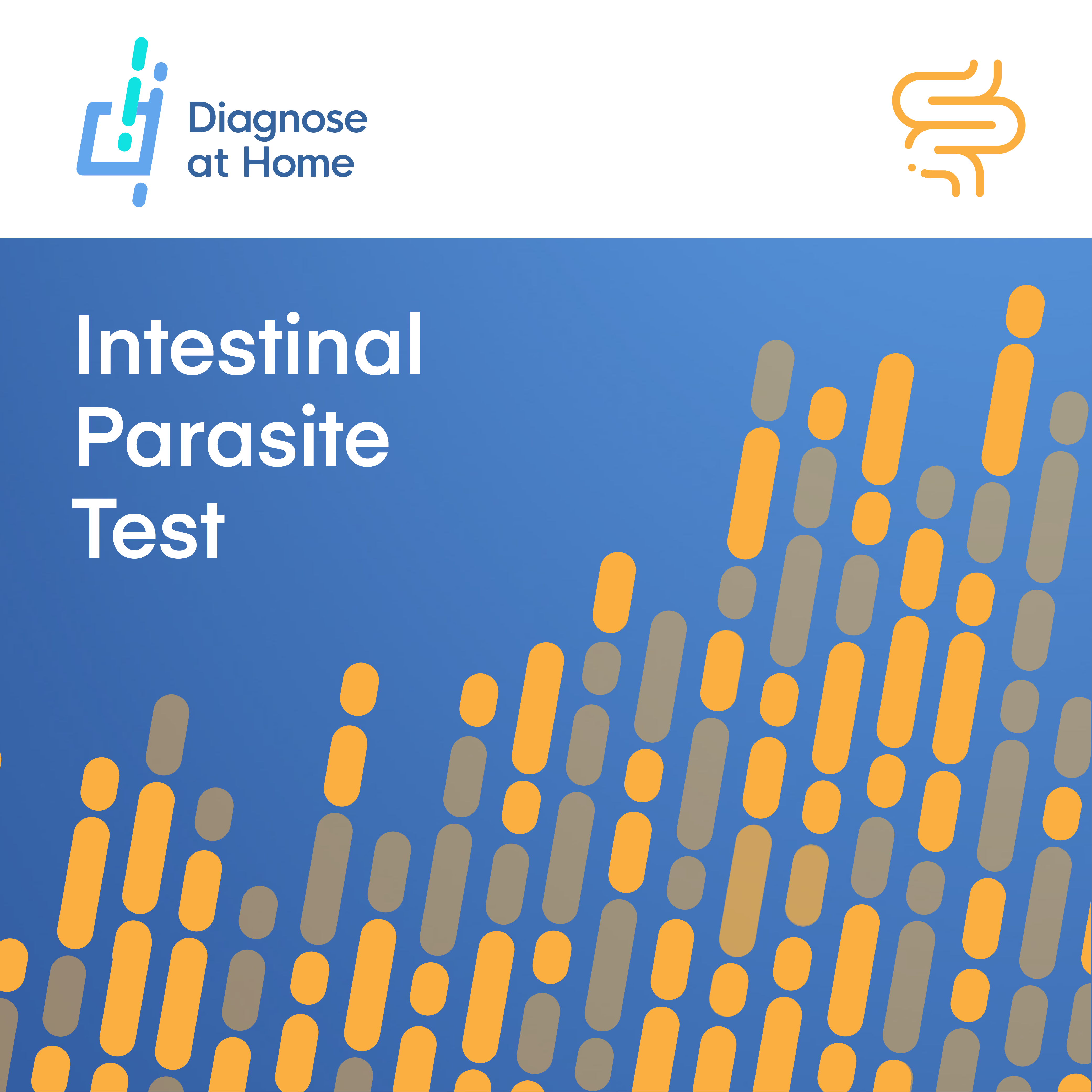 Intestinal Parasite Test Kit cover