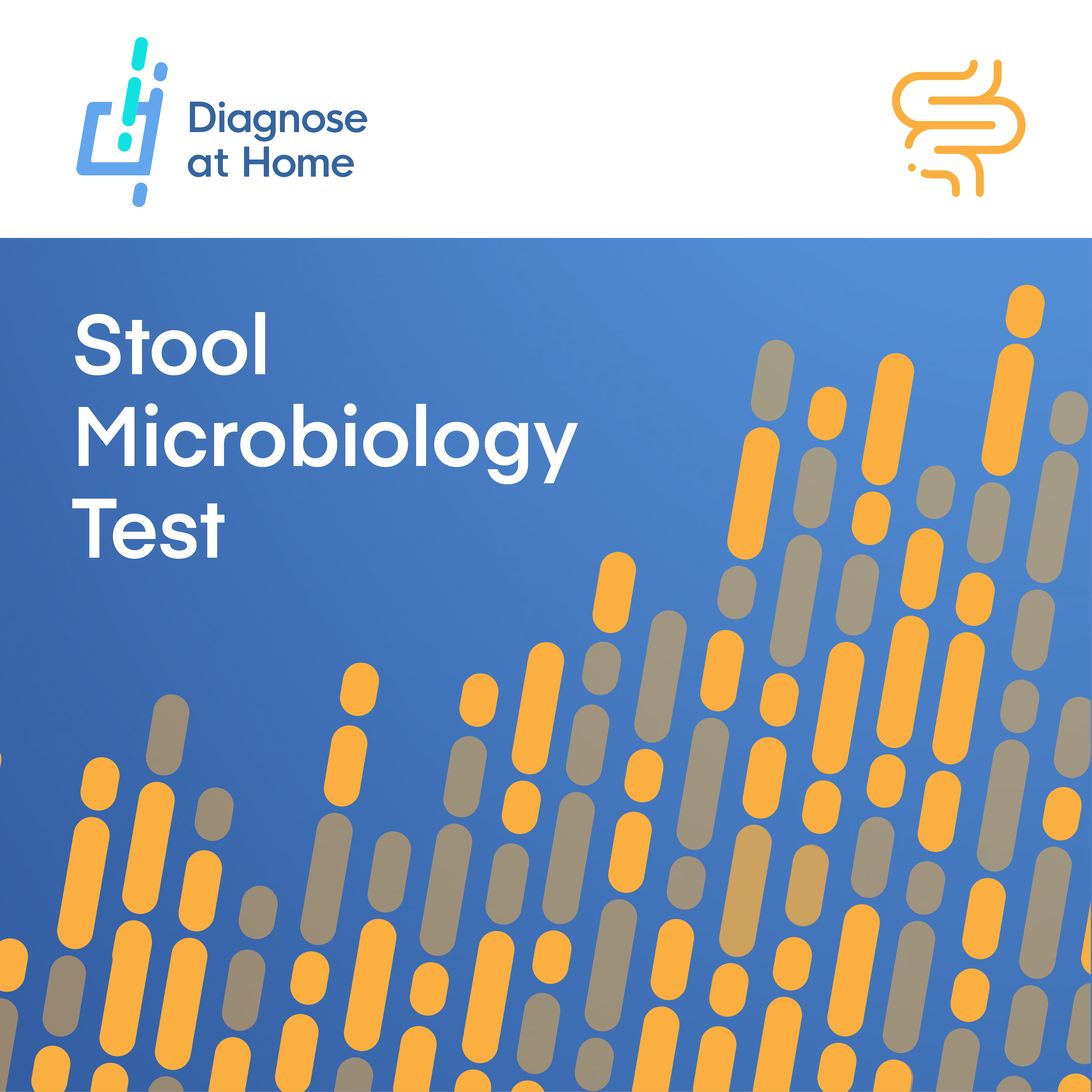 Stool Microbiology Test Kit cover