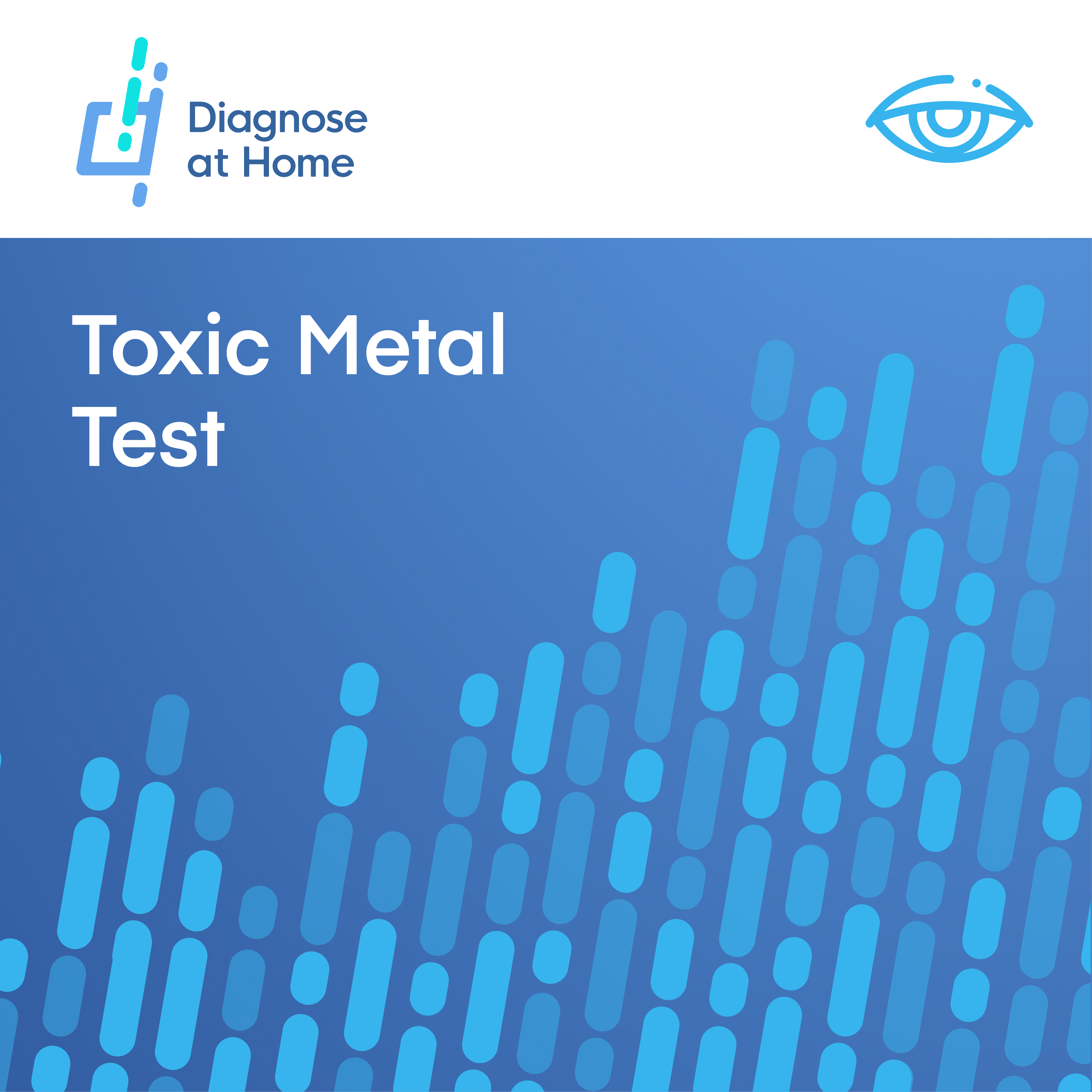 Toxic Metal Test Kit cover